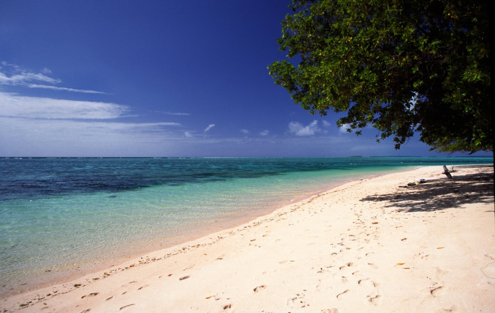 How to Plan a Trip to the Marshall Islands