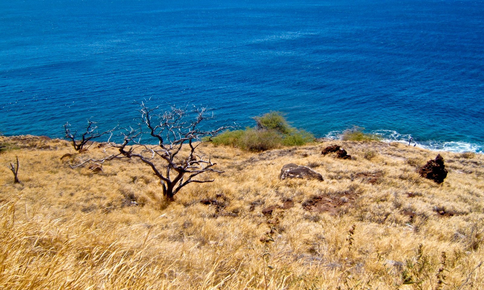 Maui Hawaii coastline compared to Oahu