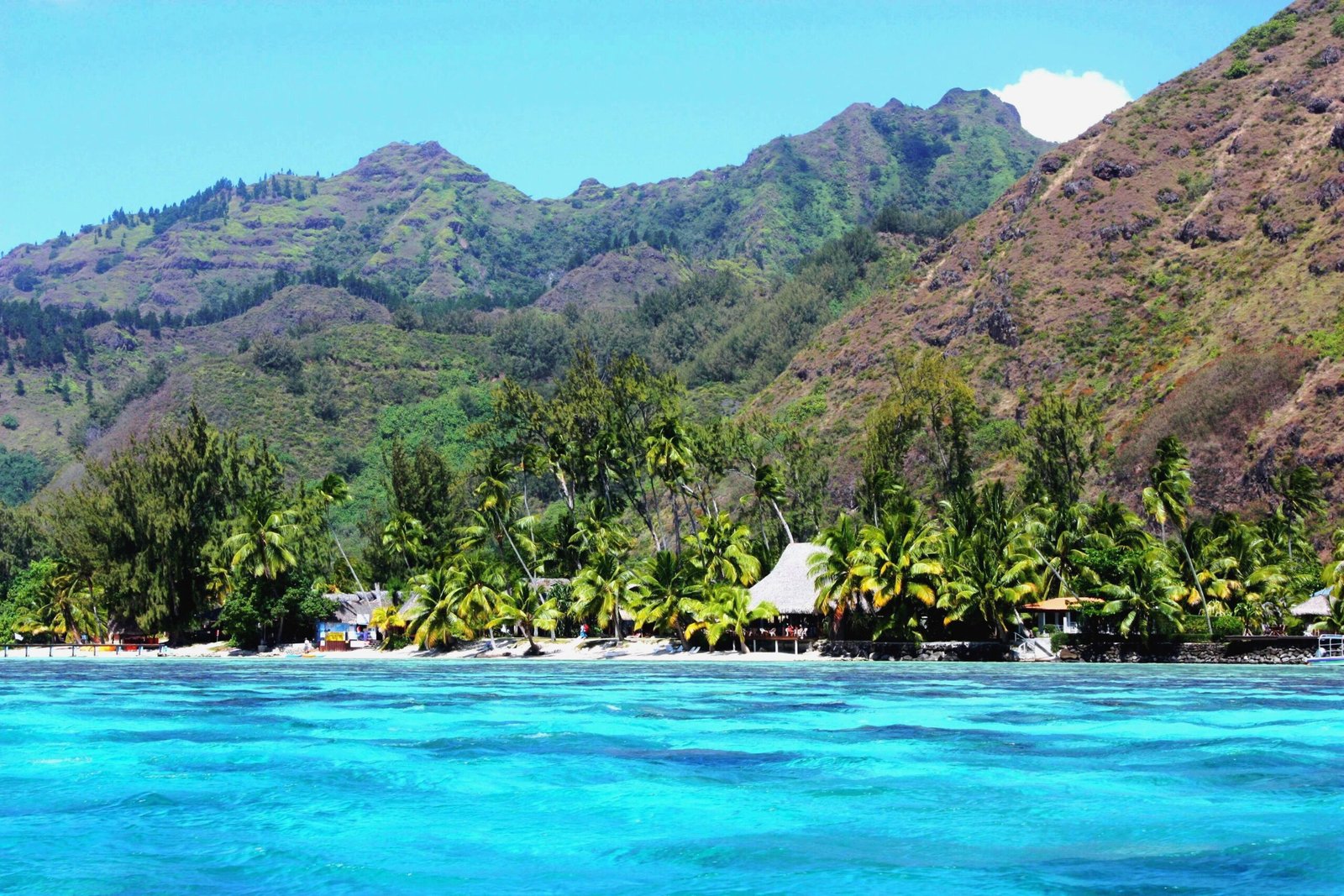 Moorea Honeymoon Guide 2026