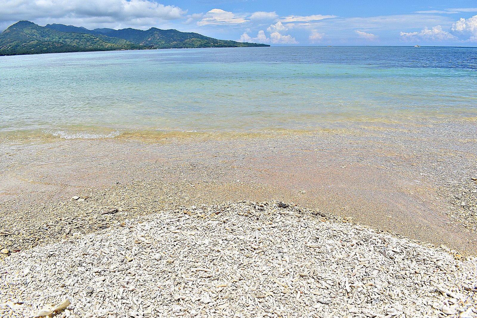 foto yang dimabil merupakan foto dari sekumpulan sisa sisa terumbu karang.di pantai sejuk — Photo: Suryanata budi, CC BY-SA 4.0, via Wikimedia Commons