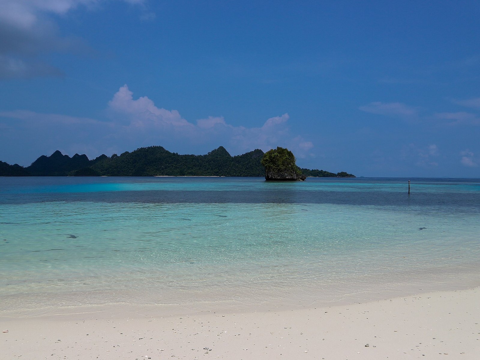 Keindahan Pantai dan Laut Wayag, Raja Ampat, Indonesia — Photo: Nan Marot, CC BY-SA 4.0, via Wikimedia Commons