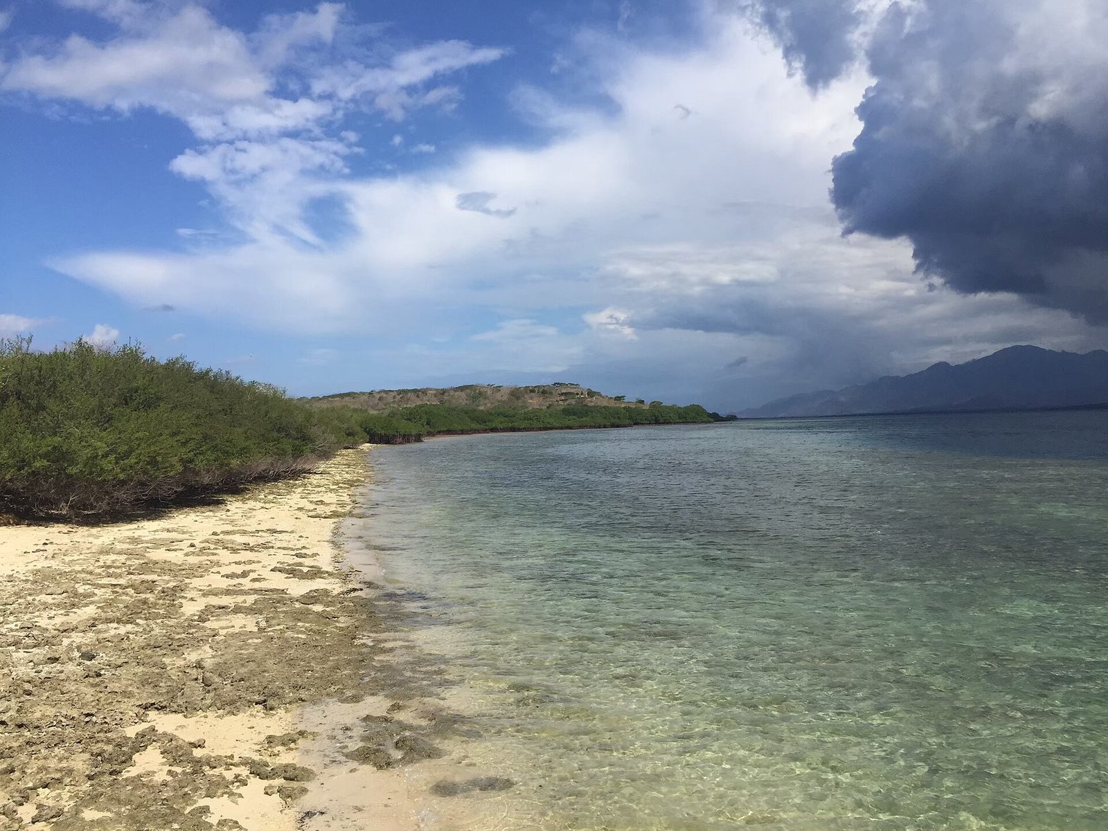 Pantai di Pulau Menjangan, Taman Nasional Bali Barat — Photo: Winsonchu95, CC BY-SA 4.0, via Wikimedia Commons