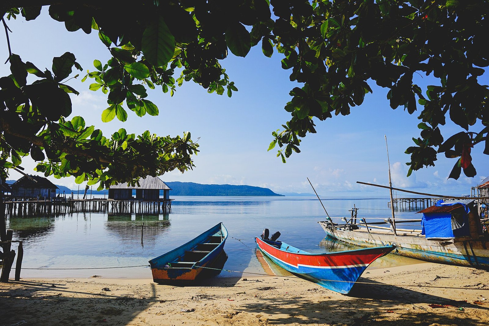 This photo was taken in Sawinggrai, Raja Ampat. Where the whole sea in these area are protected and have a rich marine diversity and lots of — Photo: Brizinsky T Juneanto, CC BY-SA 4.0, via Wikimedia Commons