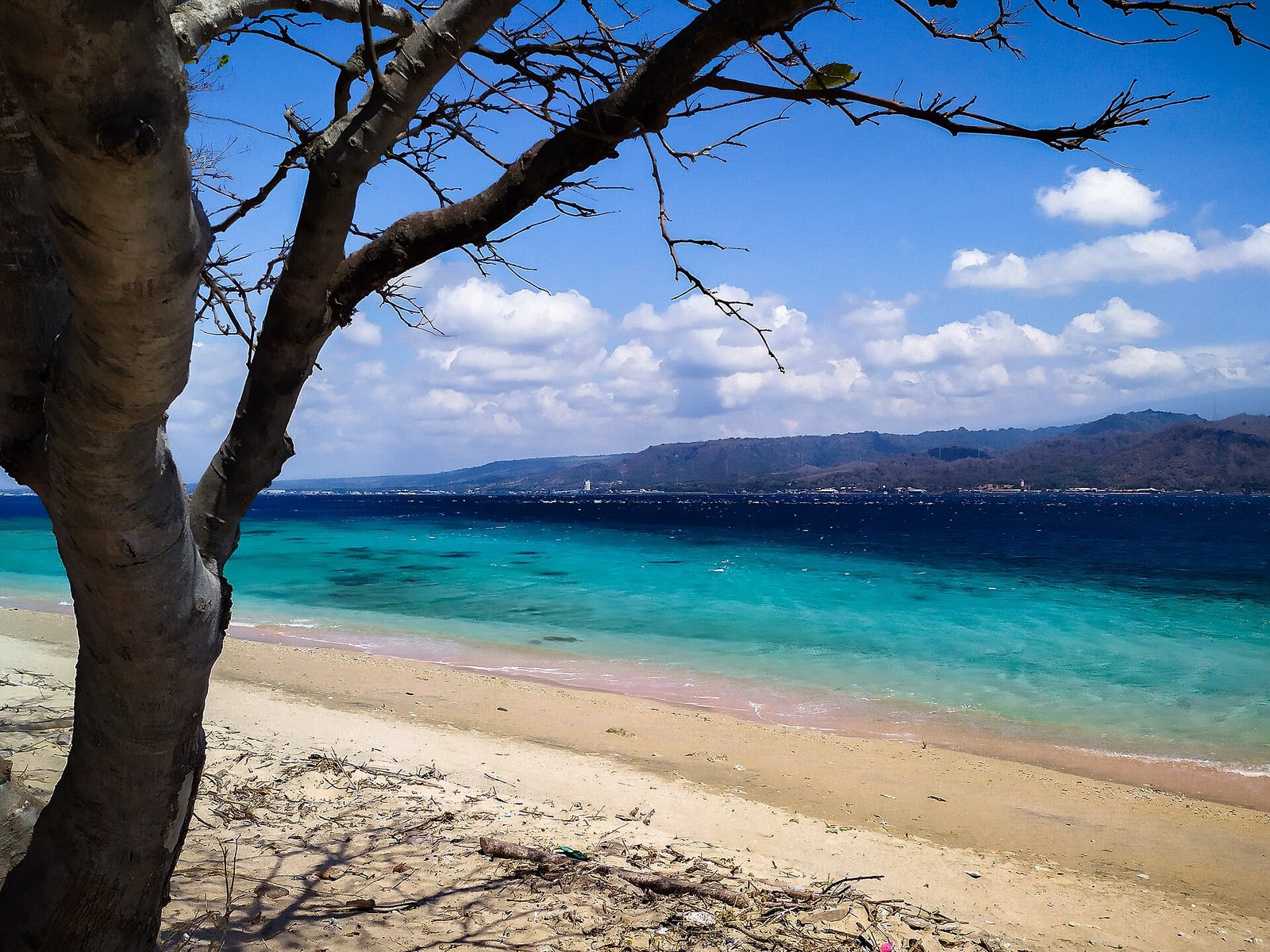The contrast colors of sand and sea depth can be seen on the beach of West Bali National Park. — Photo: Divergent43, CC BY-SA 4.0, via Wikimedia Commons