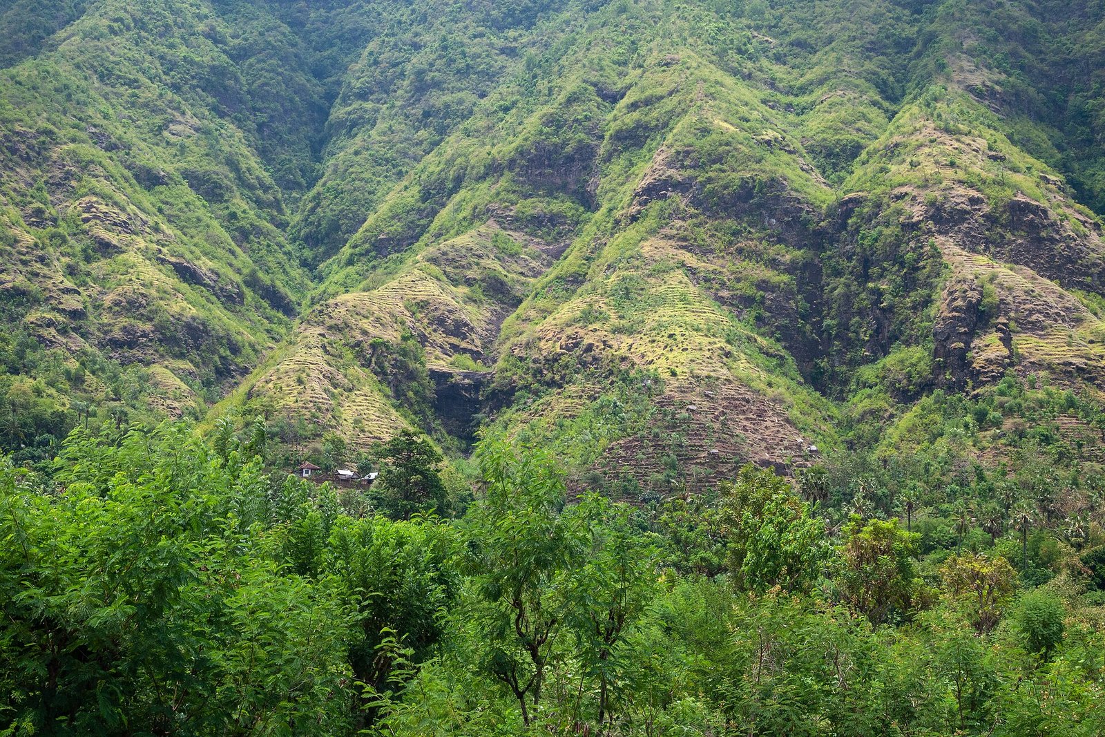 Valleys of rice fields on rich volcanic soil are interspersed with lofty old-growth forest on the northeastern slopes of Mount Lempuyang/Ser — Photo: Vyacheslav Argenberg, CC BY 4.0, via Wikimedia Commons