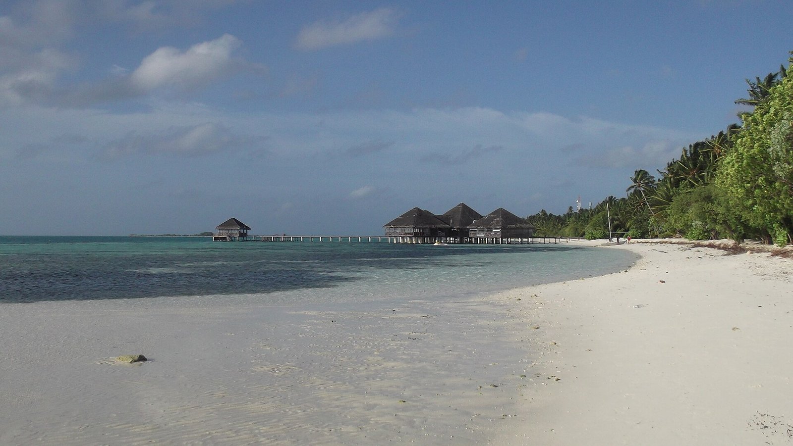 Beach at Medhufushi Island Resort in the Maldives — Photo: Priyaflorenceshah, CC BY-SA 4.0, via Wikimedia Commons