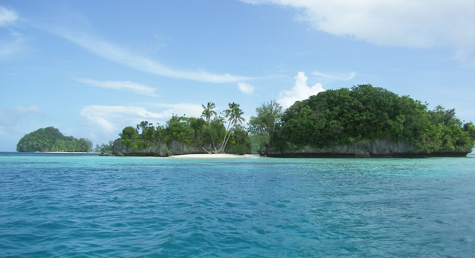 Palau Honeymoon Guide 2026: Reefs and Rock Islands