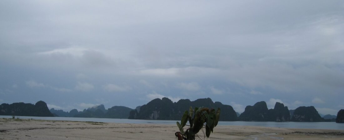 Quan Lan vs Co To 2026: Which Island Fits You