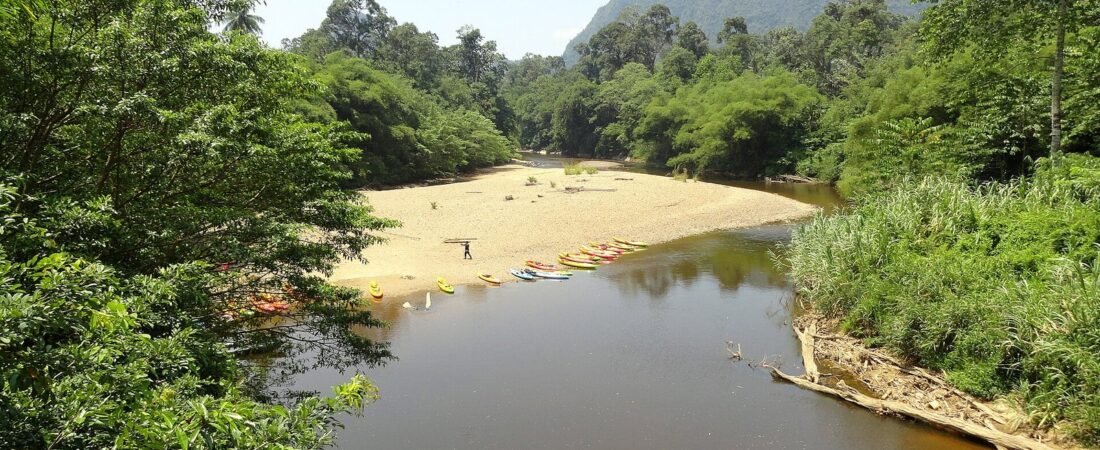 Sarawak Travel Guide 2026: Culture & Rainforest