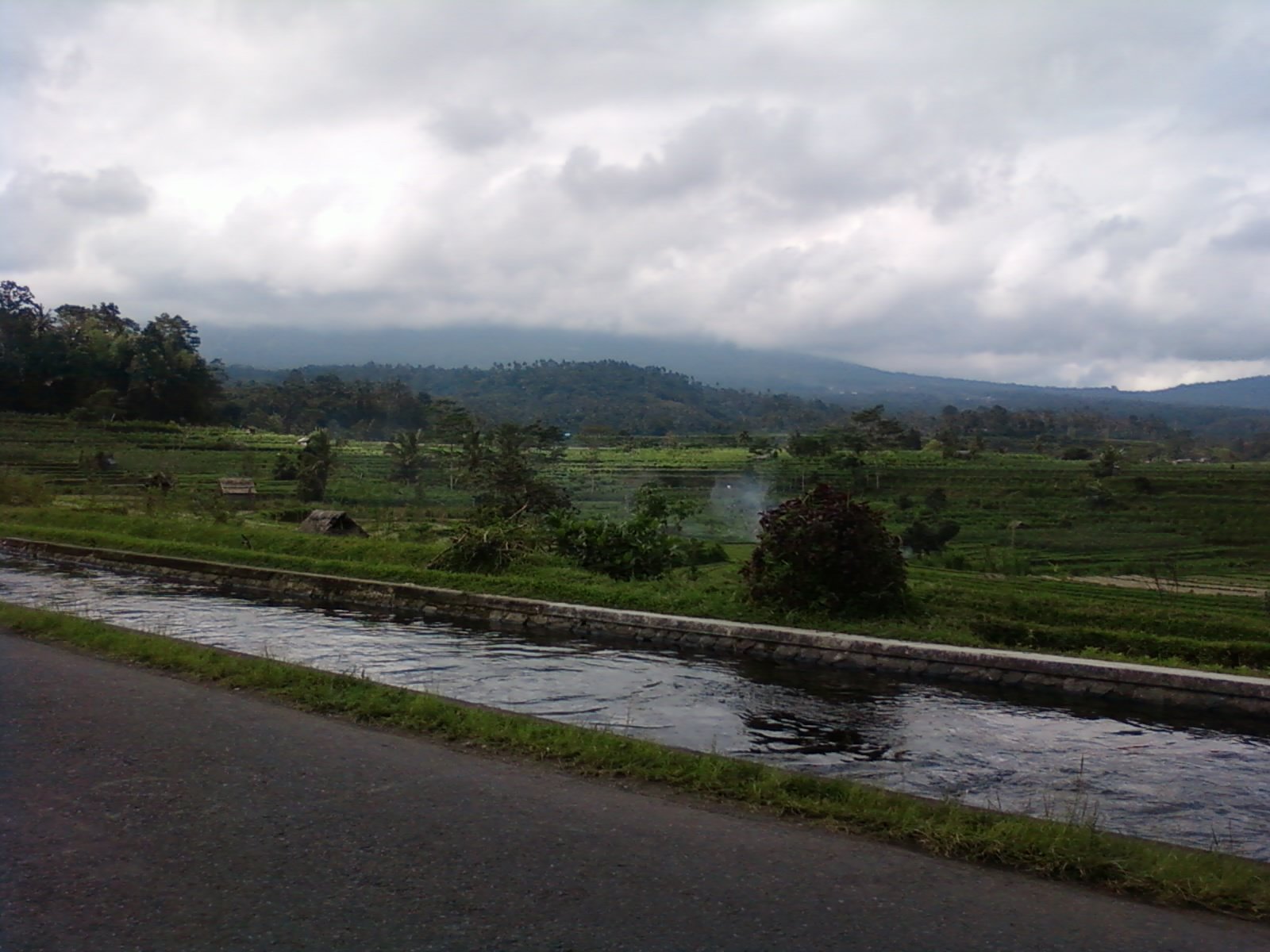 Rice terraces in the Sidemen Valley, East Bali