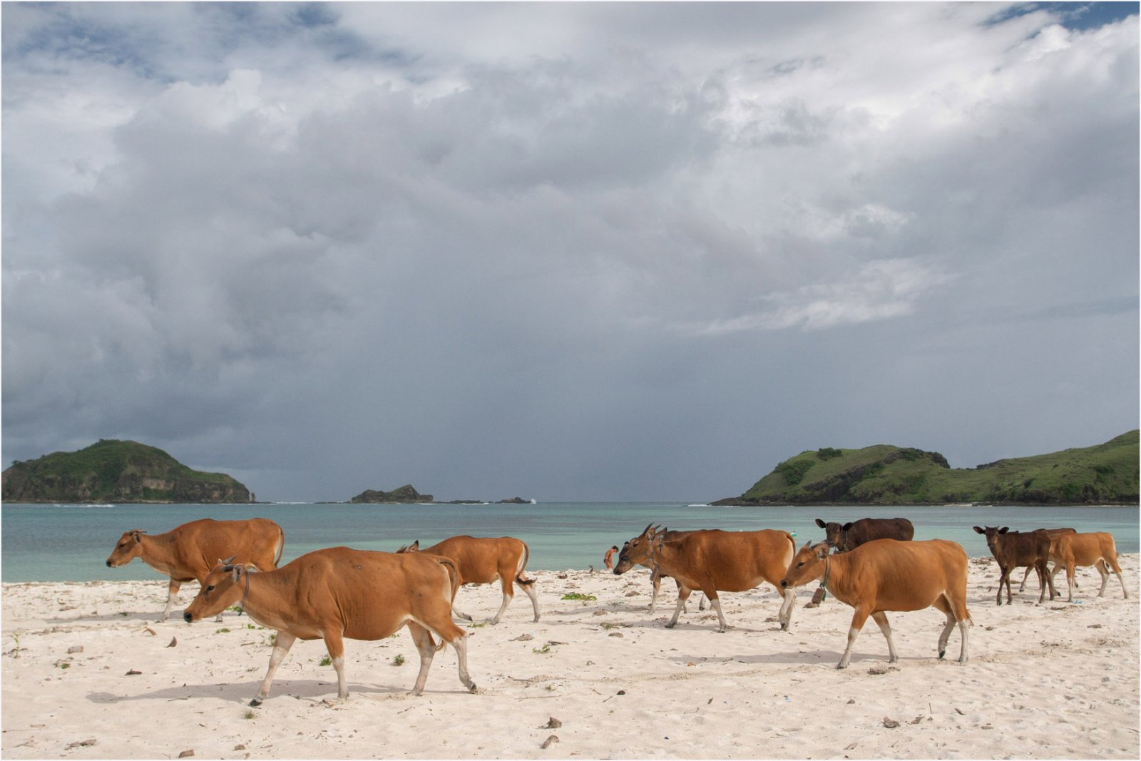 7 Best Things to Do at Tanjung Aan & Mawun Beach 2026