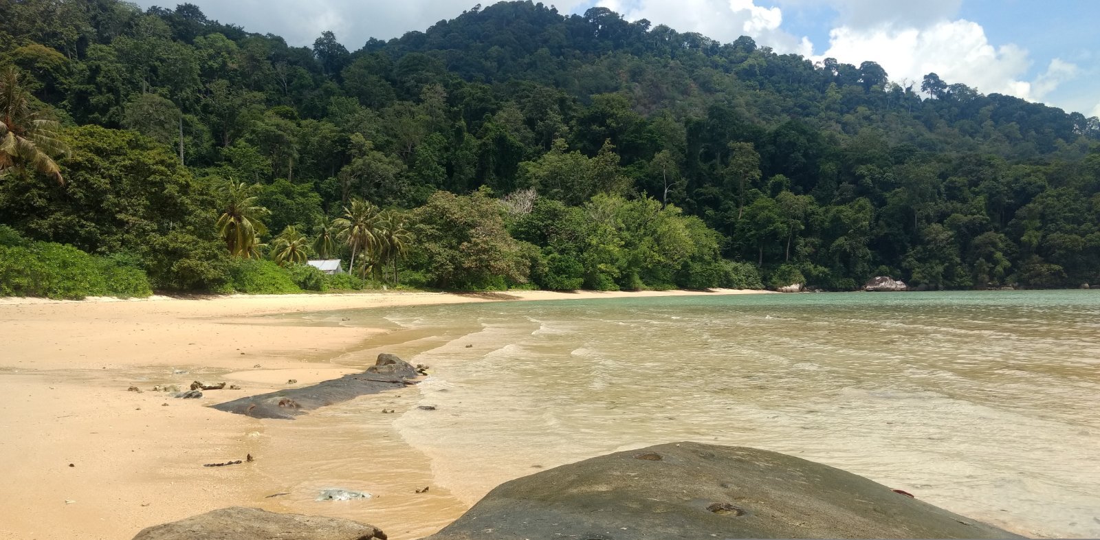 Mersing vs Tanjung Gemok, operators, and choosing the right pier