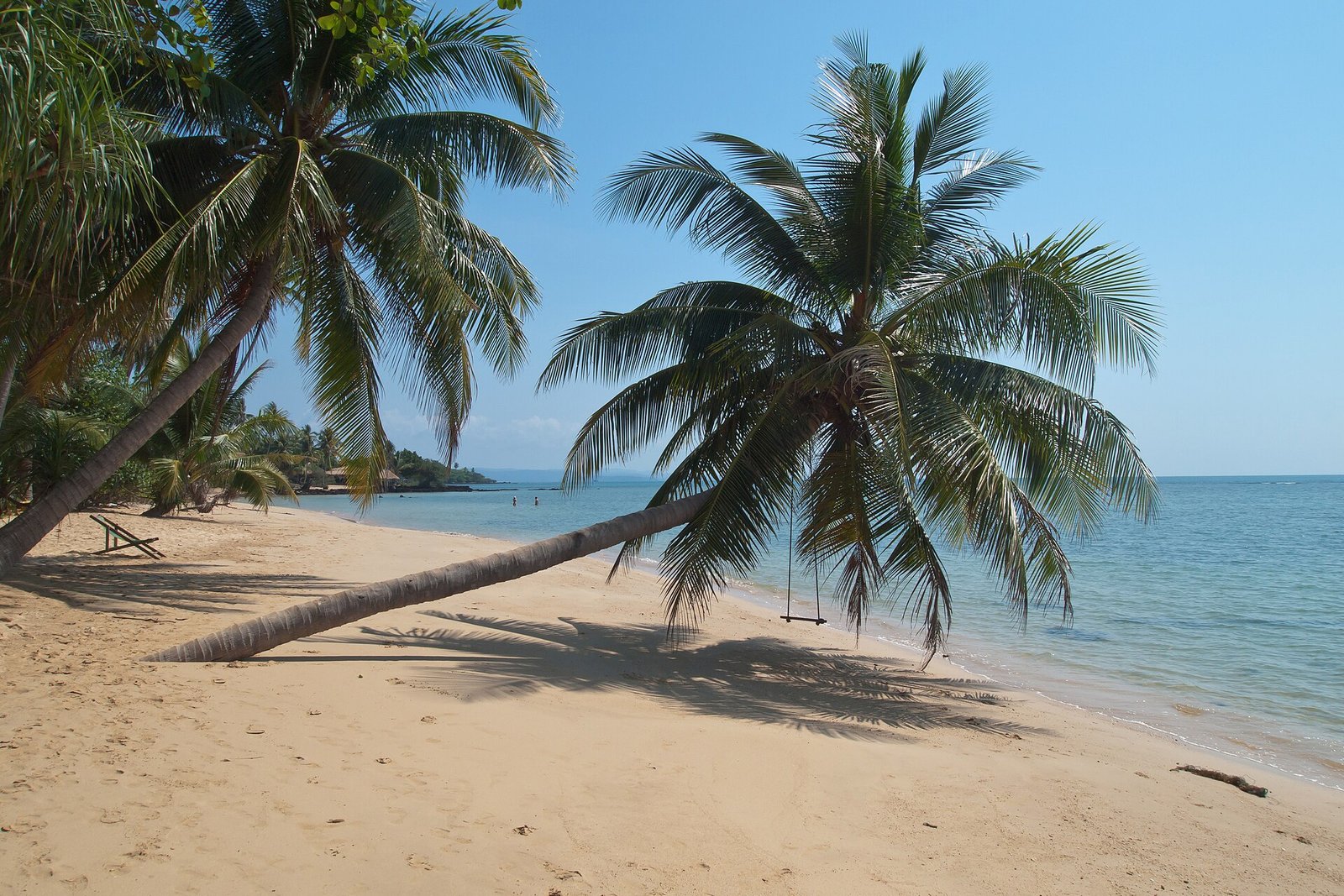 Koh Mak (island), Thailand, Palms on the beach — Vyacheslav Argenberg, CC BY 4.0, via Wikimedia Commons