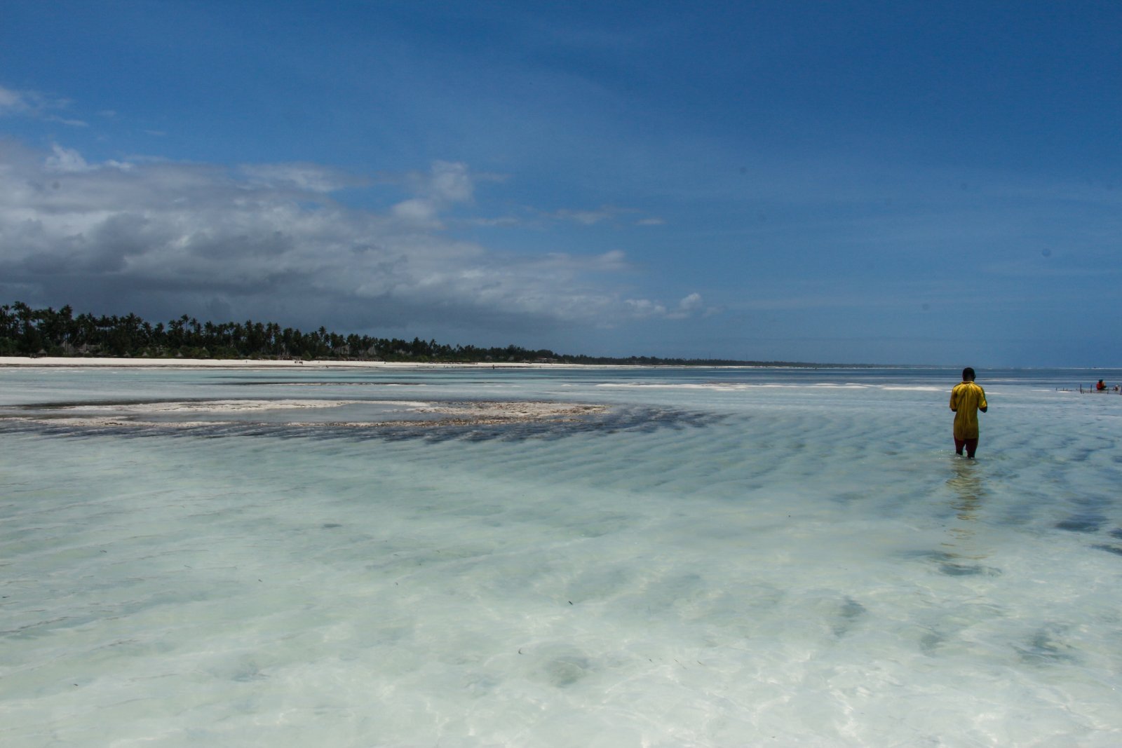 Illustrative Zanzibar coastline; not a photograph of any specific resort